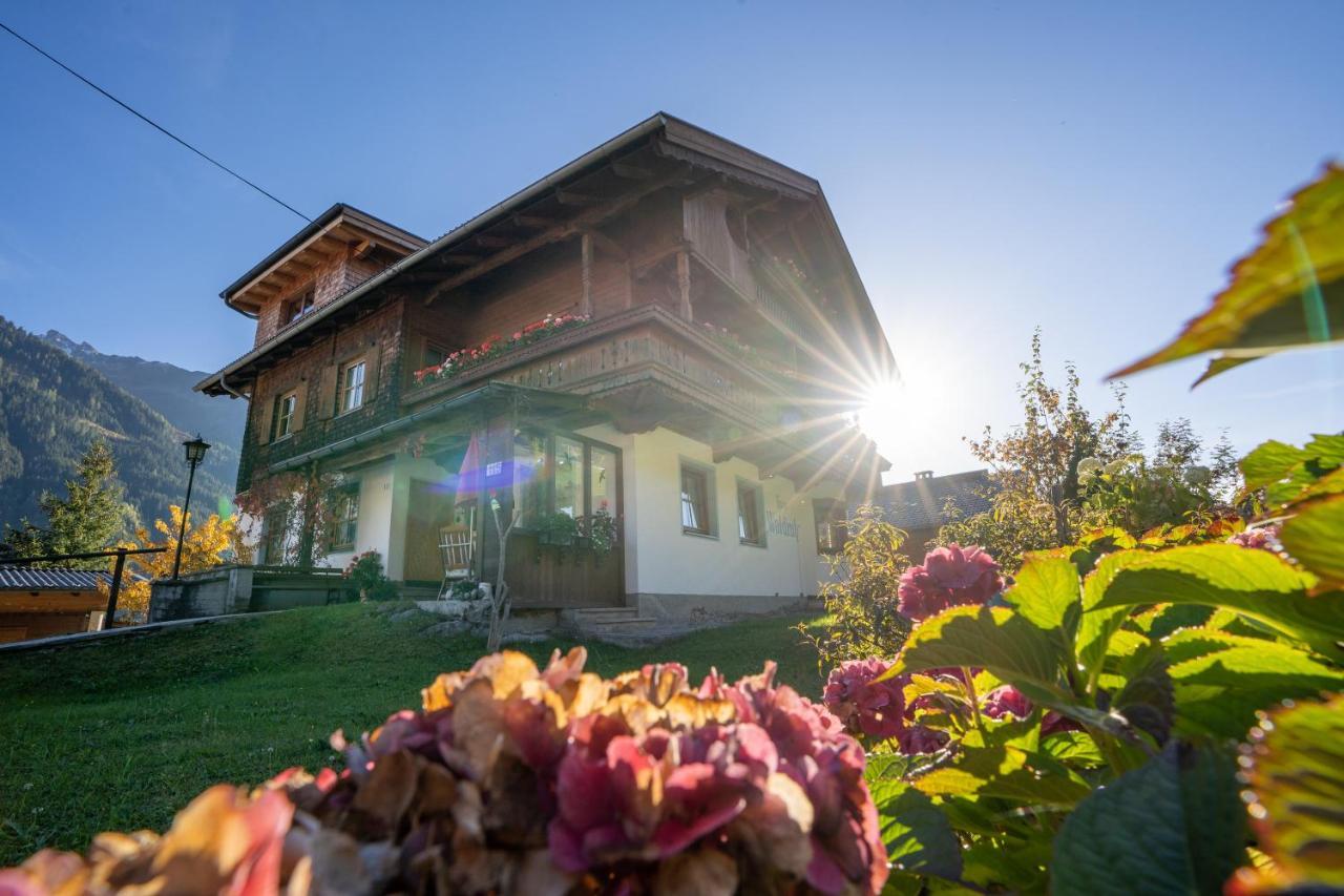 Gaestehaus Waldruh Brandberg Exterior photo