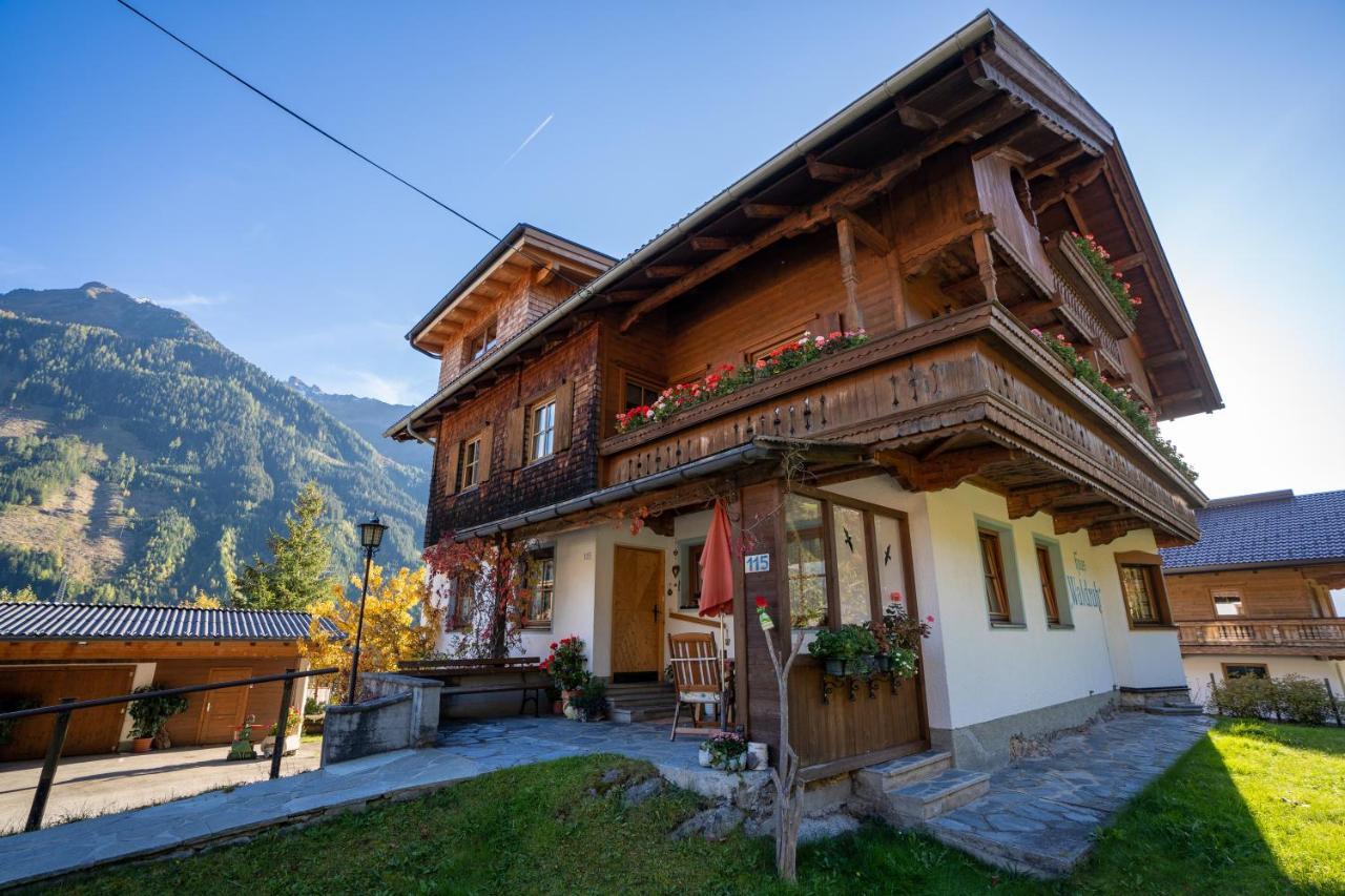 Gaestehaus Waldruh Brandberg Exterior photo
